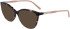 Lacoste L2911 sunglasses in Rose Havana