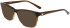 Dragon DR2036 sunglasses in Shiny Brown Gradient
