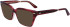 Calvin Klein CK22539 sunglasses in Burgundy Havana