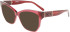 Salvatore Ferragamo SF2936 sunglasses in Transparent Wine
