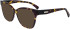 Longchamp LO2704 sunglasses in Tokyo Purple Havana