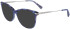 Longchamp LO2691-51 sunglasses in Textured Blue/Grey