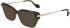 Lanvin LNV2631 sunglasses in Khaki