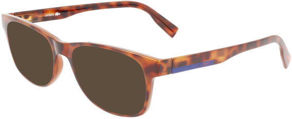 Lacoste L2913 sunglasses in Havana