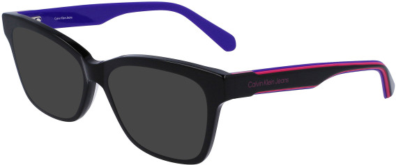 Calvin Klein Jeans CKJ22648 sunglasses in Black