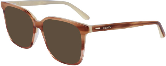 Calvin Klein CK22540-53 sunglasses in Honey Tortoise