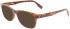 Lacoste L2913 sunglasses in Havana