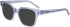 DKNY DK5048 sunglasses in Blue Laminate