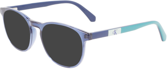 Calvin Klein Jeans CKJ22301 sunglasses in Blue