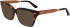 Calvin Klein CK22539 sunglasses in Tortoise