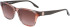 Converse CV535S ALL STAR sunglasses in Peach Tortoise