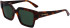Karl Largerfield KL6089S sunglasses in Tortoise