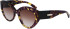Longchamp LO722S sunglasses in Tokyo Purple Havana