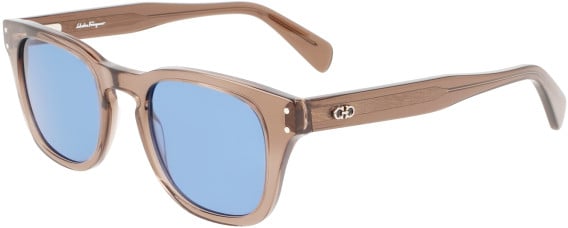 Salvatore Ferragamo SF1057S sunglasses in Brown Transparent