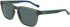 Zeiss ZS22520SLP sunglasses in Matte Transparent Green
