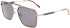 Salvatore Ferragamo SF298S sunglasses in Dark Ruthenium/Brown