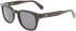 Salvatore Ferragamo SF1057S sunglasses in Black