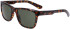 Dragon DR BISHOP LL sunglasses in Shiny Tortoise