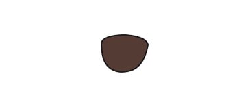 Photochromic - Brown