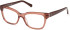 Gant GA4140 glasses in Light Brown/Other