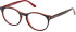 Guess GU8266 glasses in Black/Other