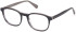 Guess GU50046 glasses in Grey/Other