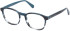 Guess GU50046 glasses in Blue/Other