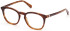Guess GU50053 glasses in Blonde Havana