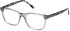 Guess GU8269 glasses in Grey/Other