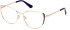 Guess GU2904 glasses in Blue/Other