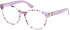 Guess GU2909 glasses in Violet/Other