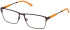 Timberland TB1770 glasses in Matte Dark Brown