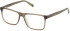 Timberland TB1759-H glasses in Grey/Other