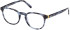 Guess GU50069 glasses in Blue/Other