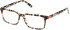 Guess GU50068 glasses in Havana/Other