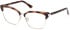 Guess GU2945 glasses in Blonde Havana