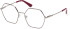 Guess GU2934 glasses in Bordeaux/Other