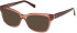Gant GA4140 sunglasses in Light Brown/Other