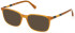 Gant GA3264 sunglasses in Shiny Yellow