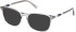 Gant GA3267 sunglasses in Grey/Other
