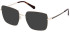 Gant GA4128 sunglasses in Dark Brown/Other