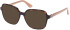 Guess GU2938 sunglasses in Dark Havana