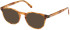 Guess GU50069 sunglasses in Blonde Havana