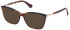Guess GU2880 sunglasses in Blonde Havana
