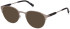 Timberland TB1771 sunglasses in Matte Gunmetal