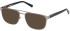 Timberland TB1760 sunglasses in Matte Gunmetal