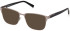 Timberland TB1761 sunglasses in Matte Gunmetal