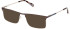 Gant GA3263 sunglasses in Grey/Other