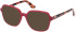 Guess GU2938 sunglasses in Shiny Bordeaux