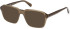 Guess GU50073 sunglasses in Light Green/Other